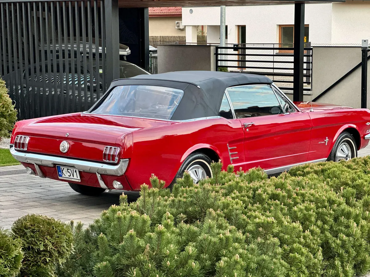 Ford Mustang Cabrio Czerwony – zdjęcie 4 z 6